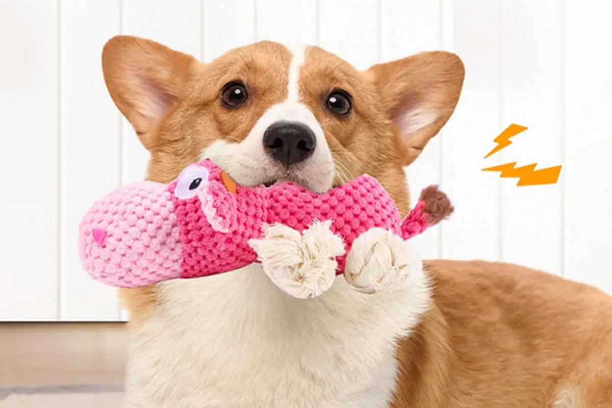 Dog Toys for Aggressive Chewers Dog Toys to Keep Them Busy Squeaky Dog Toys