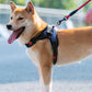 No-Pull Pet Dog Harness with Handle Adjustable Padded Vest