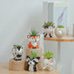 12pcs Cute Animal Shaped Plant Succulent Pots