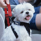2Pcs Silicone Case Water-resistant Pet Collar Holder for Samsung Galaxy SmartTag2-Grey and Blue