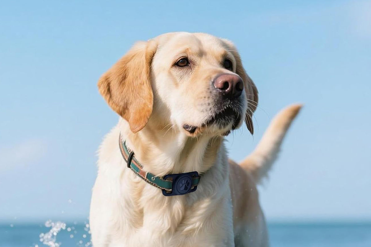 2Pcs Waterproof Dog Collar Holder for Apple AirTag Silicone Air Tags Case