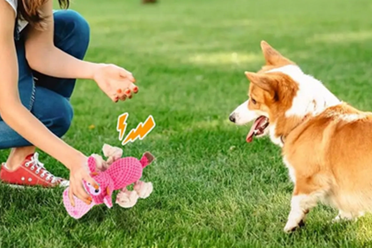 Dog Toys for Aggressive Chewers Dog Toys to Keep Them Busy Squeaky Dog Toys
