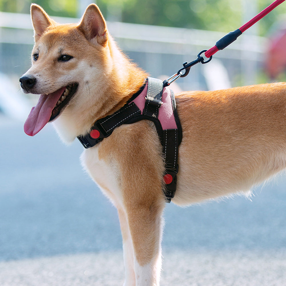 No-Pull Pet Dog Harness with Handle Adjustable Padded Vest