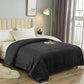 Reversible Faux Plush Blanket