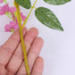 4Pcs Artificial Silk Wisteria Vine Hanging Garland 1.8 m for Home and Garden Decoration