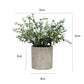 3Pcs Mini Potted Artificial Plastic Green Plants-Round leaf potted plant