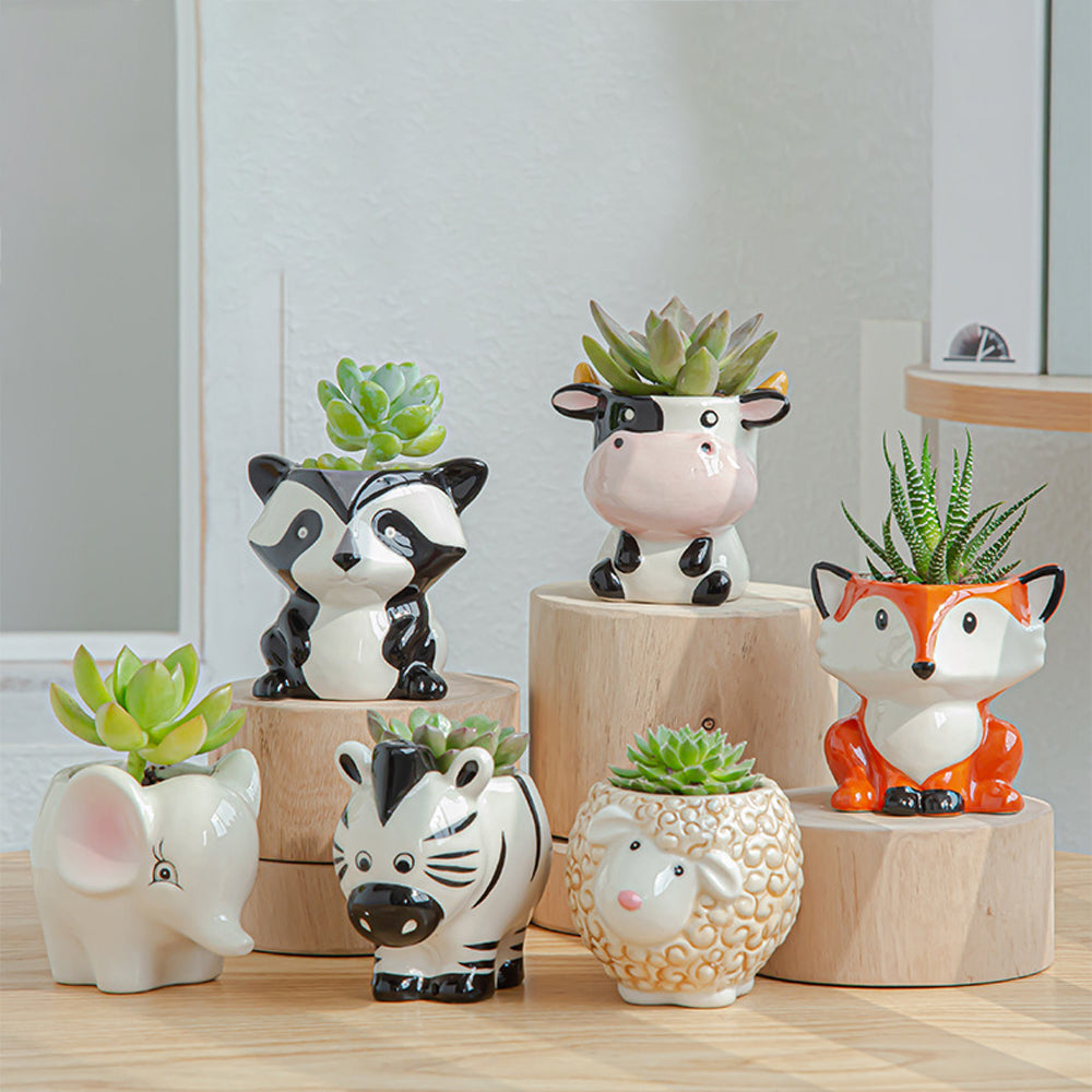 6pcs Cute Animal Shaped Plant Succulent Pots