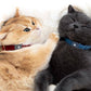 2Pcs Silicone Case Water-resistant Pet Collar Holder for Samsung Galaxy SmartTag2-Grey and Blue