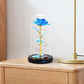 Eternal Rose Night Light in Glass Dome with LED
