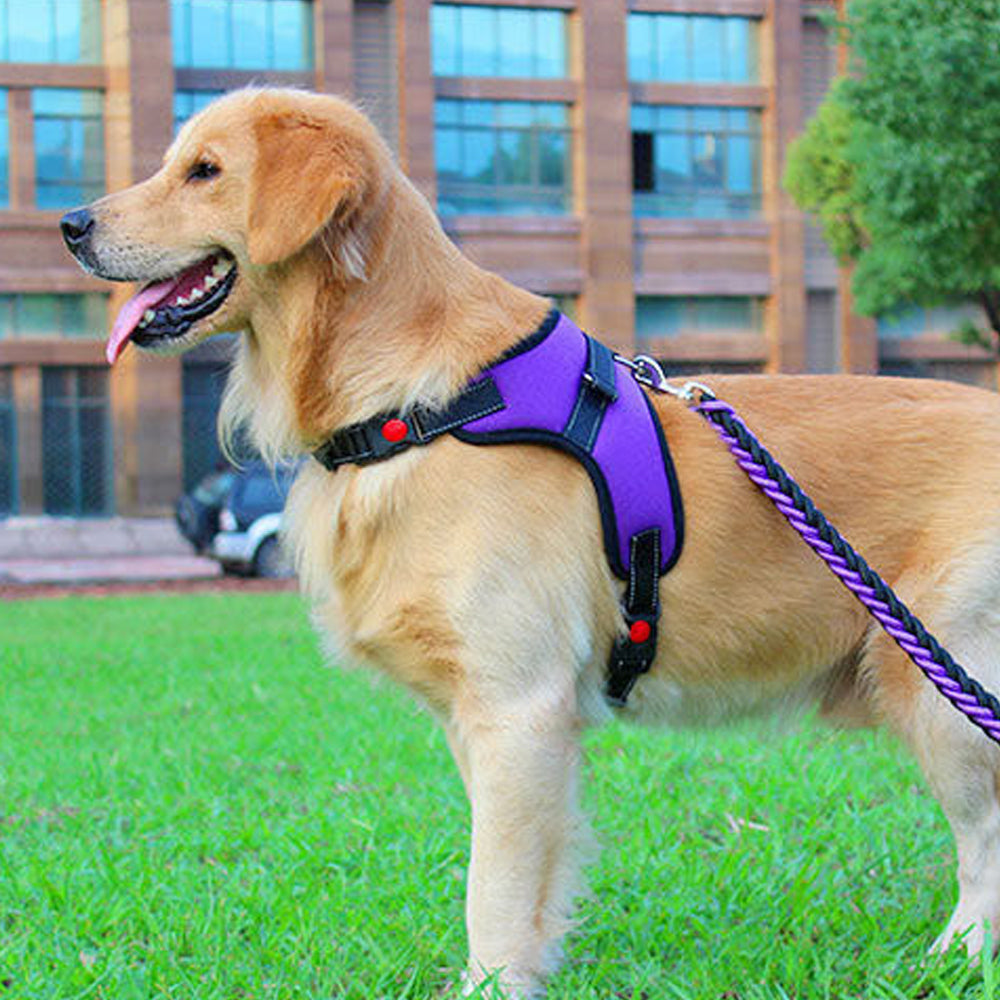 No-Pull Pet Dog Harness with Handle Adjustable Padded Vest