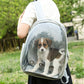 Expandable Pet Carrier Backpack