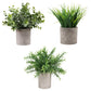 3Pcs Mini Potted Artificial Plastic Green Plants