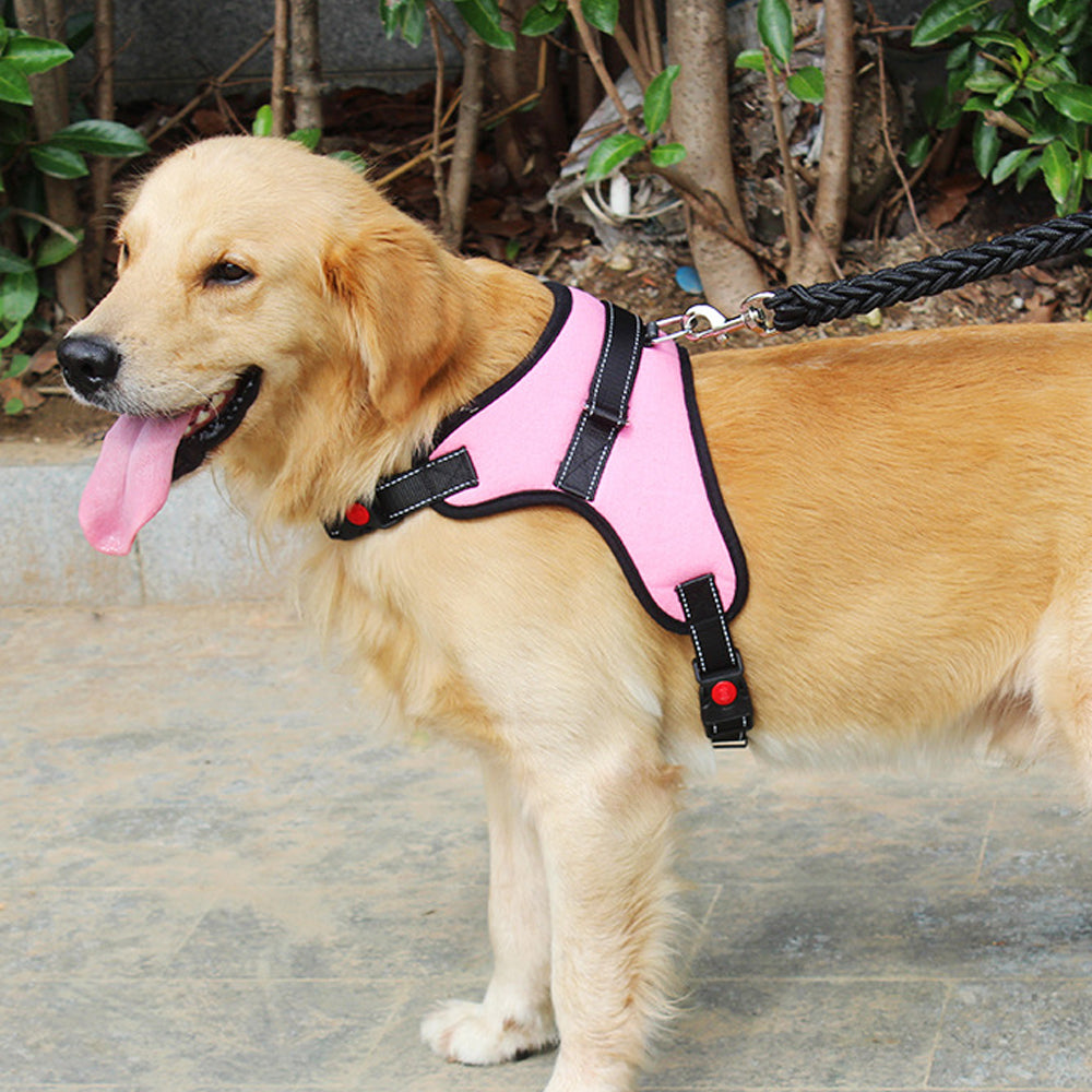 No-Pull Pet Dog Harness with Handle Adjustable Padded Vest