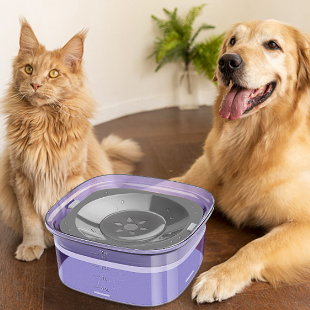 2Pcs 2L Pet No Spill Water Bowl