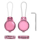 2Pcs Water-Resistant AirTag Key Lock Case Compatible with Apple AirTags