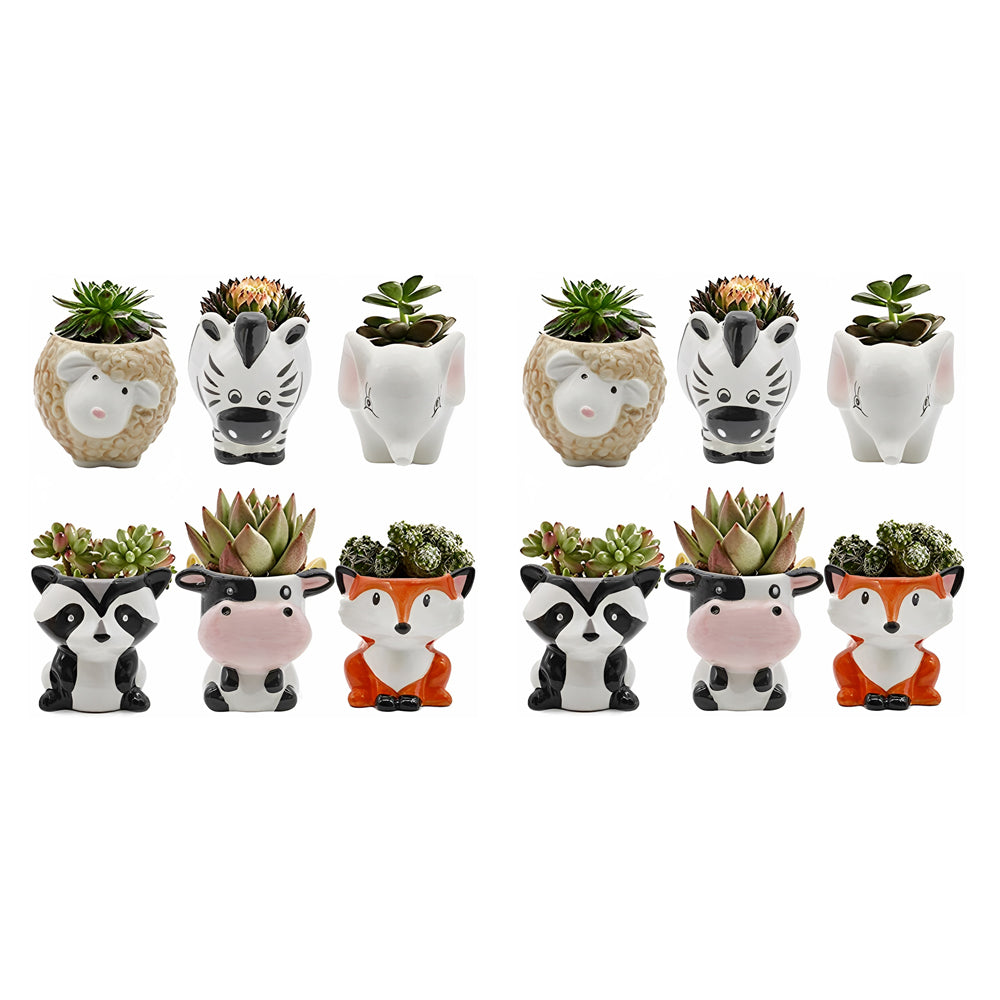 12pcs Cute Animal Shaped Plant Succulent Pots