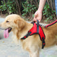 No-Pull Pet Dog Harness with Handle Adjustable Padded Vest