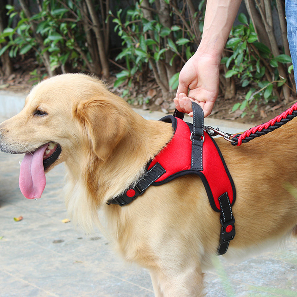No-Pull Pet Dog Harness with Handle Adjustable Padded Vest