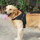 No-Pull Pet Dog Harness with Handle Adjustable Padded Vest