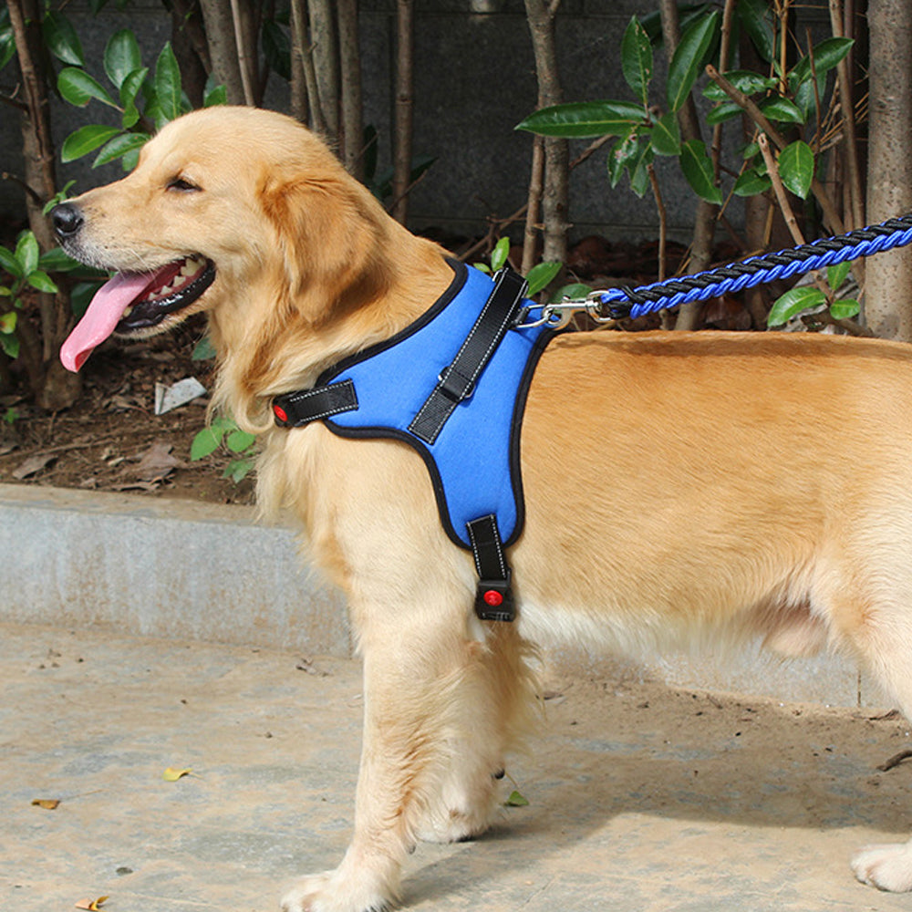 No-Pull Pet Dog Harness with Handle Adjustable Padded Vest