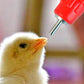 10 Pcs Automatic Poultry Water Nipple Drinkers for Chicken Duck Bird