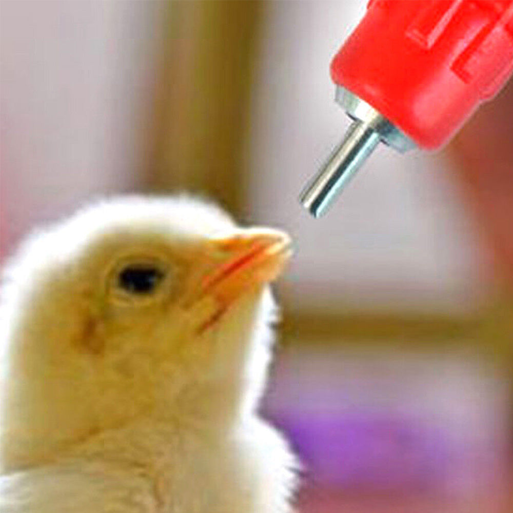 10 Pcs Automatic Poultry Water Nipple Drinkers for Chicken Duck Bird