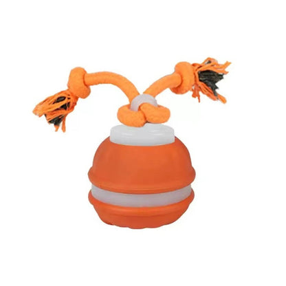 Motion Activated Interactive Dog Ball Toy