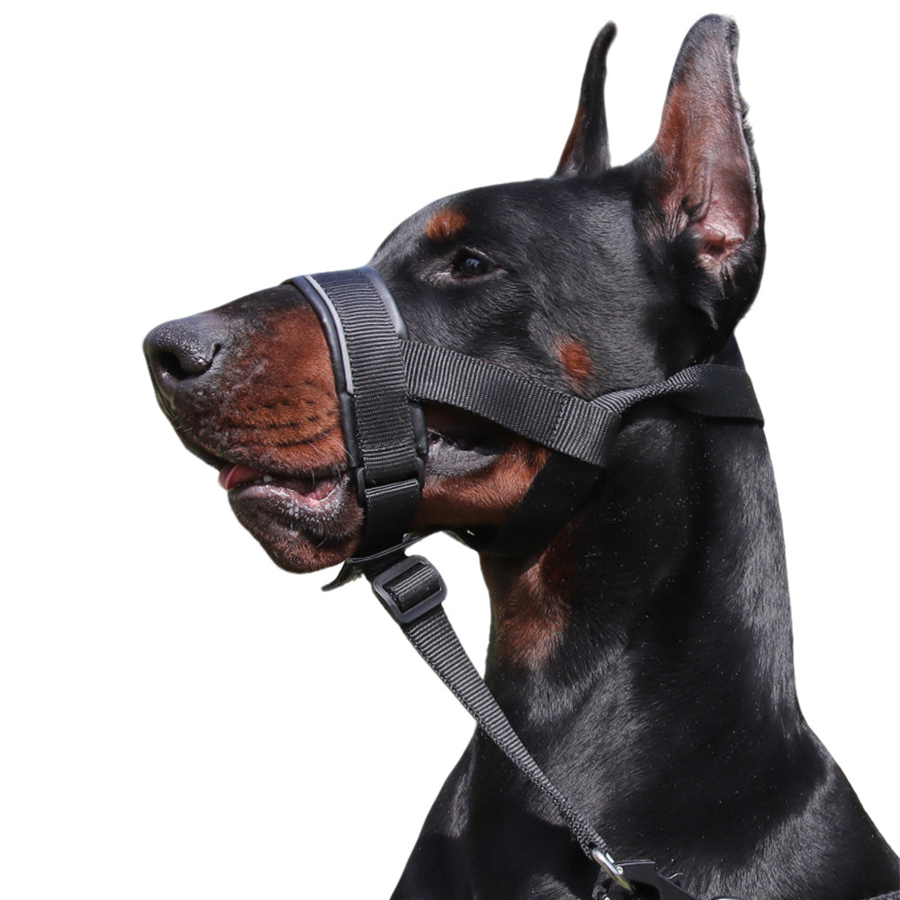 Adjustable Dog Head Collar with Padded Nose Loop for Training