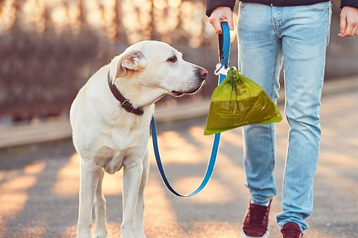 2PCS Metal Dog Poop Bag Holder Clip for Leash Hands Free Waste Disposal