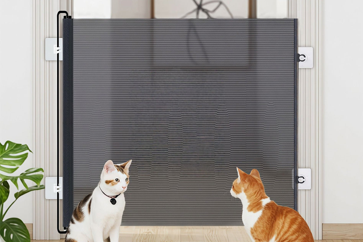 No Drill Retractable Pet Gate Barrier for Dogs and Cats Indoor Outdoor Use