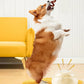 2Pcs Recording Communication Button for Pet Training