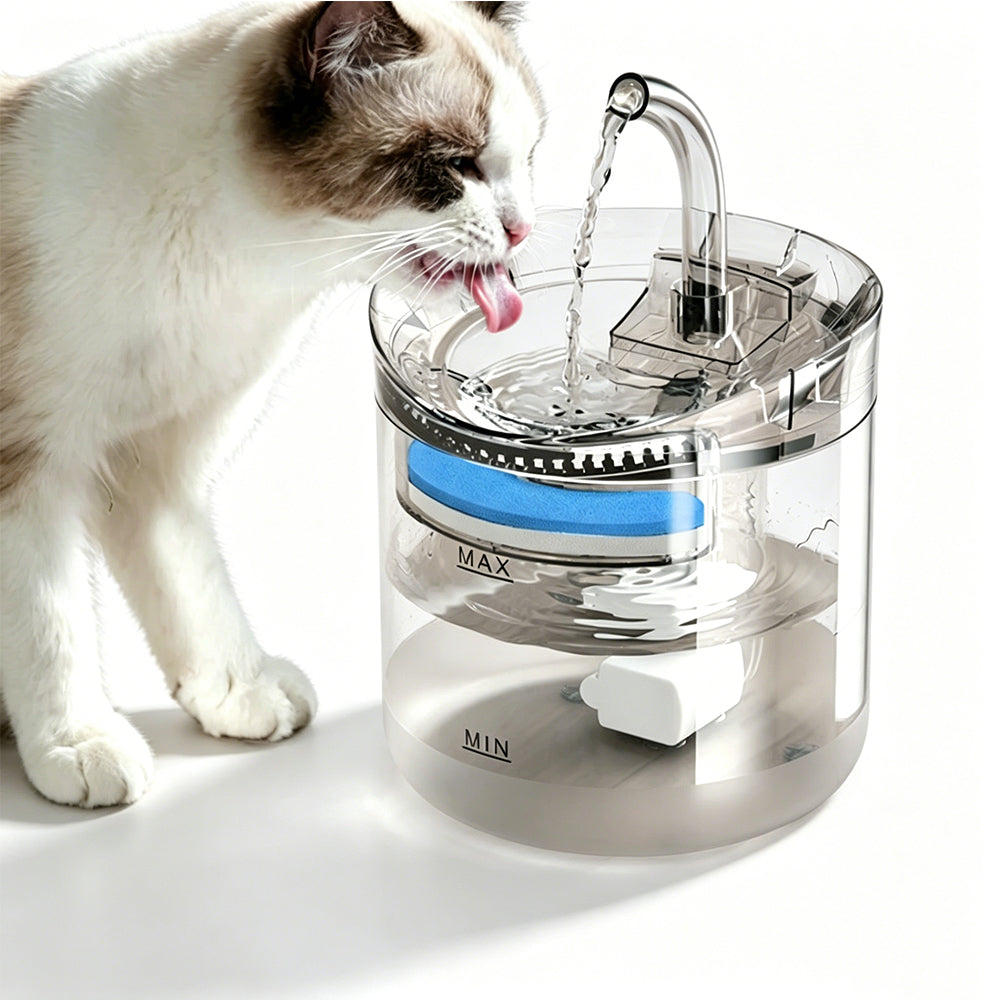Cat Water Fountain 2L Transparent Pet Drinking Fountain