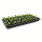 10 Pack Deep Cell Seed Starter Trays for Plant Nursery