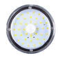 Motion Sensing Solar Wall Light with String Light