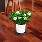 10Pcs Elevator Plant Pot Saucer