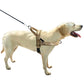Mesh Padded Dog Harness No-Pull Vest