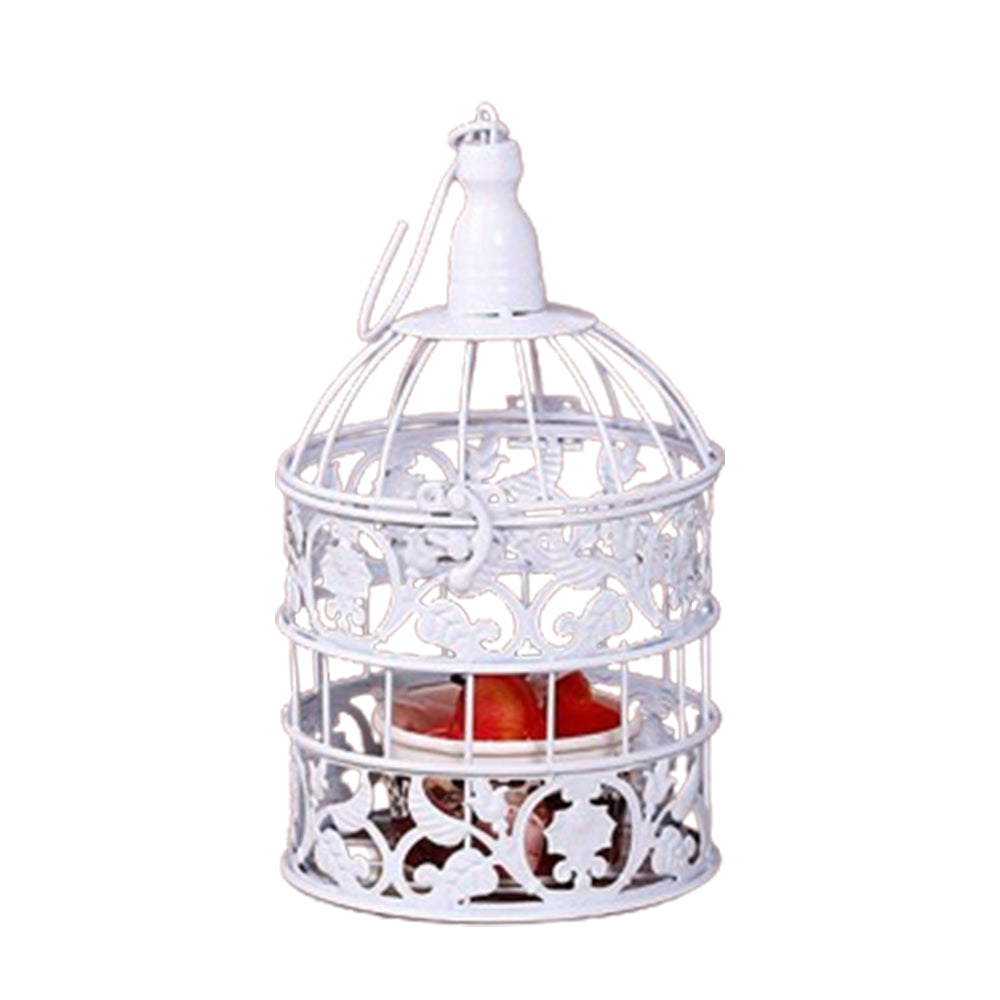 Iron Wire Birdcage Shape Succulent Plant Pot Hanging Frame