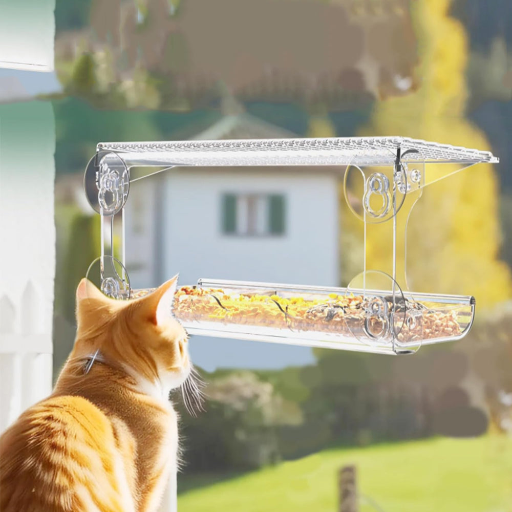 Outdoor Window Mounted Clear Bird Feeder with Suction Cups