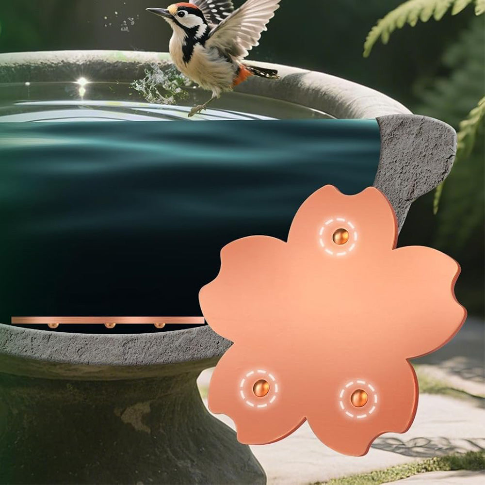 Copper Bird Bath Cleaning Disc for Outdoor Garden Use