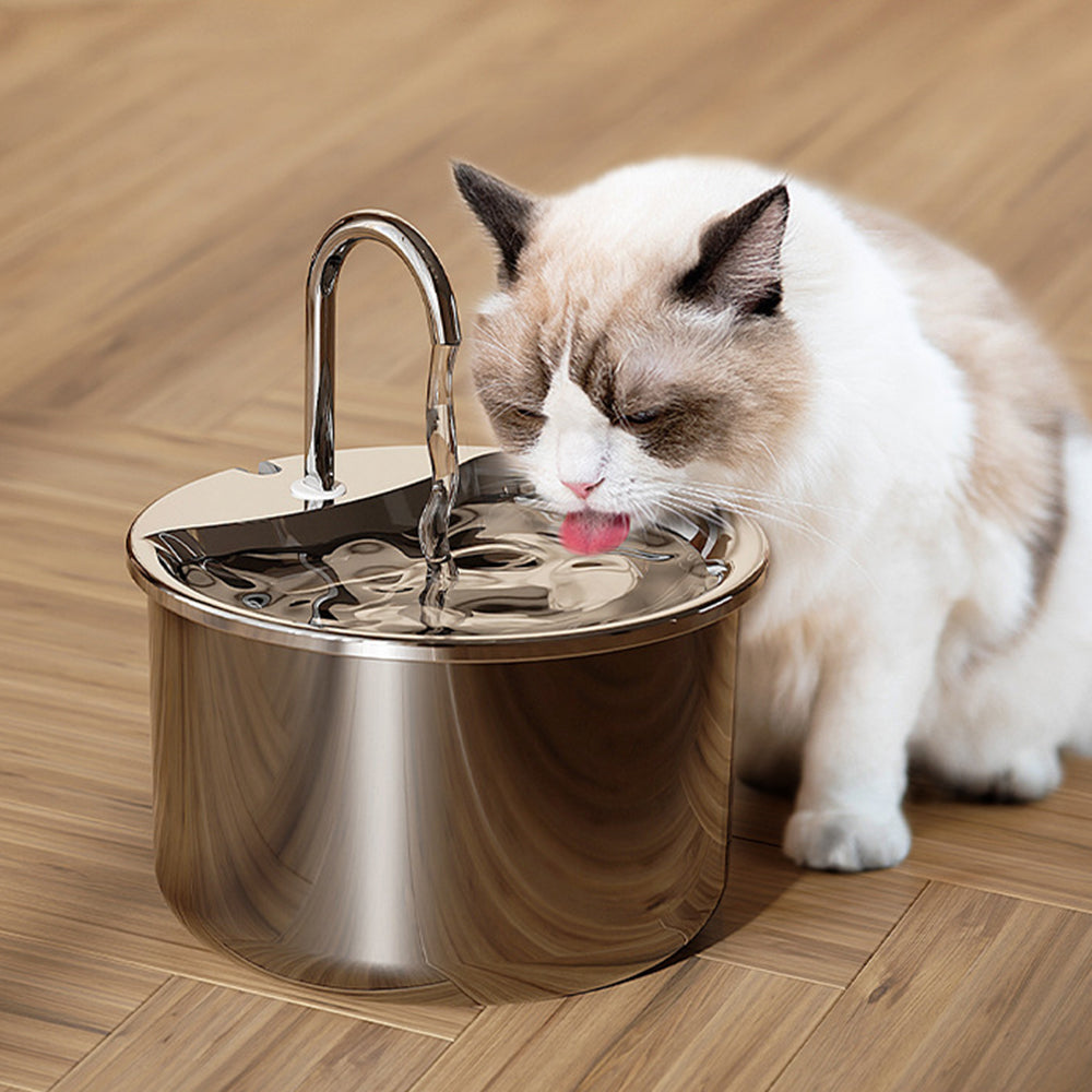 304 Stainless Steel Electric Pet Water Dispenser