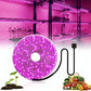5M Growth Light Strip Water-resistant Full Spectrum Plant Light