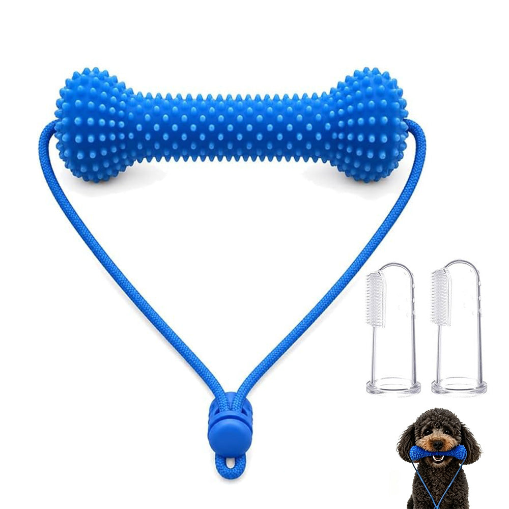 Durable Rubber Bone Dog Chew Toy with 2 Toothbrushes for Training & Solo Play