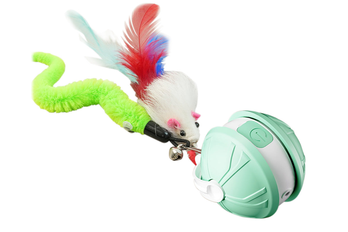 Interactive Dog Toys Electric Automatic Smart Pet Toys Rolling Ball Toys For Small Dogs