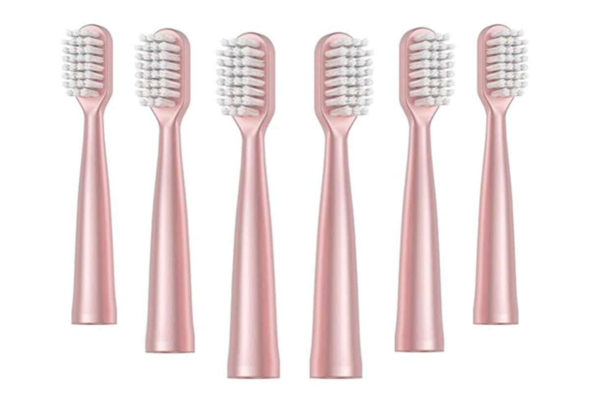 Electric Toothbrush for Adults with 6 Brush Heads and Smart Timer Sonic Toothbrush