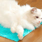 Cat Self Grooming Mat Itching Mat Self Massage Pad for Floor