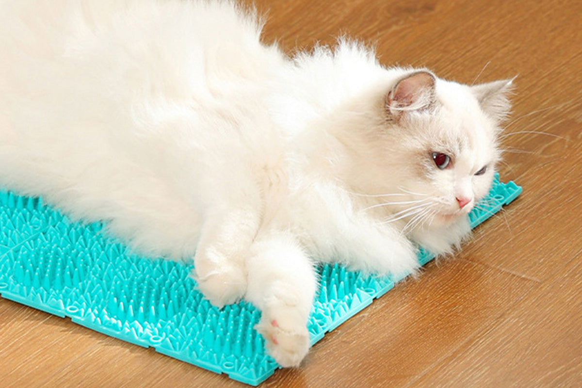 Cat Self Grooming Mat Itching Mat Self Massage Pad for Floor