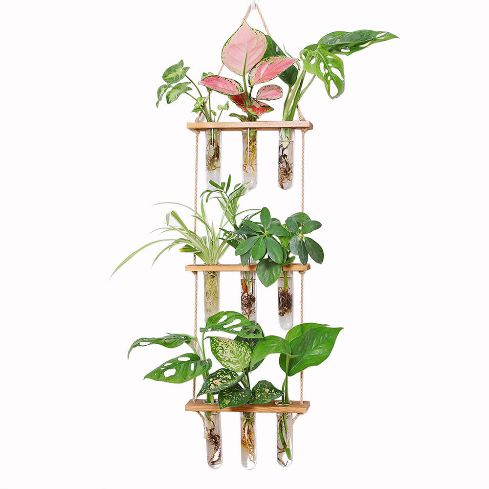 3 Tiered Wall Hanging Terrarium With Wooden Stand Hanging Tube Glass Vases