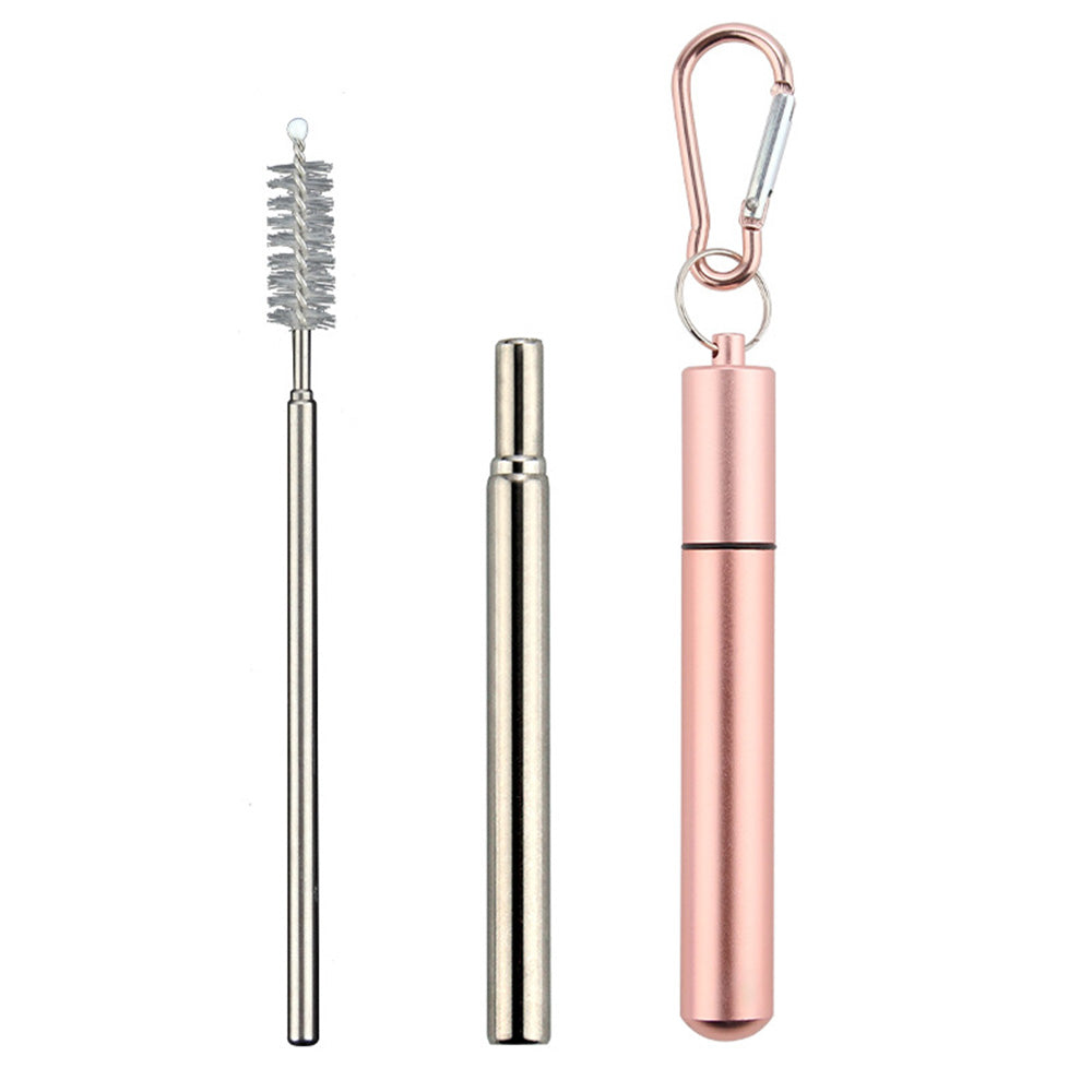 2 Pack Collapsible Stainless Steel Travel Straws with Keychain Cases