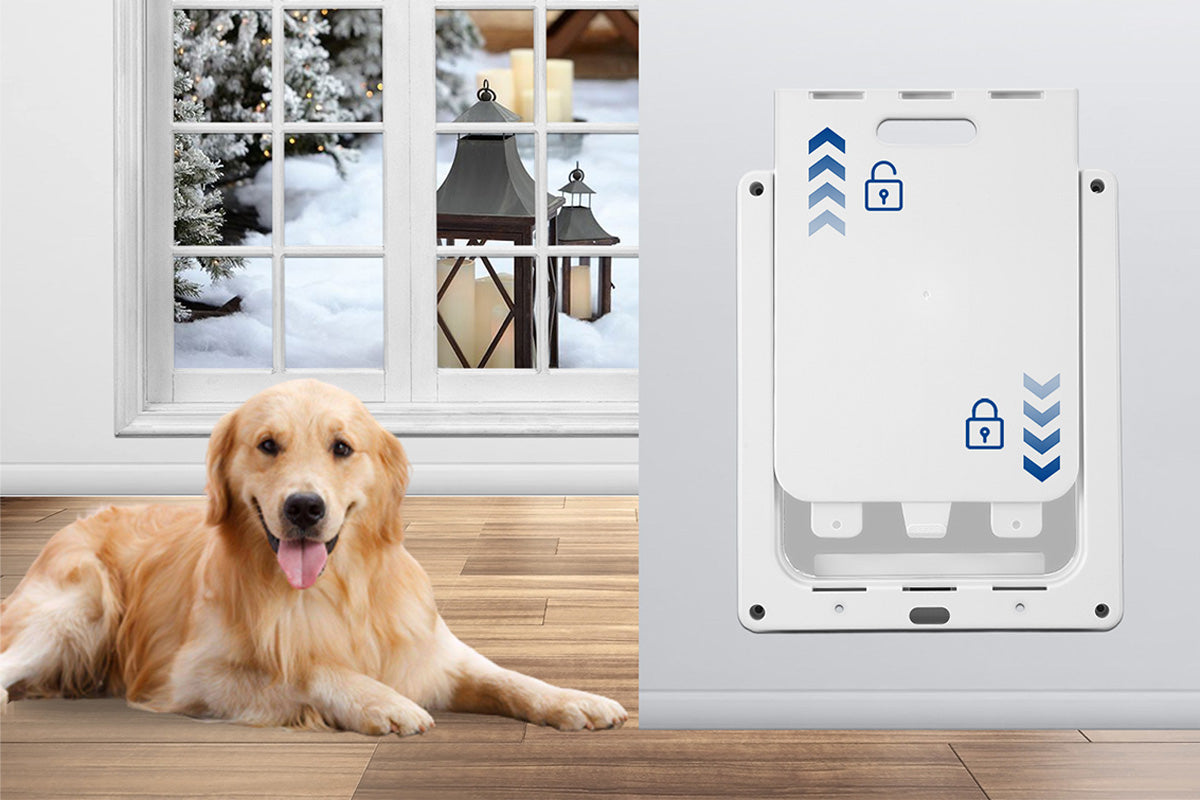 Pet Door for Cats and Dogs with Locking Panel