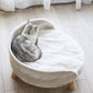 Elevated Dog Cat Bed Sofa Couch Kitten Lounge Raised Pet Bed with Legs
